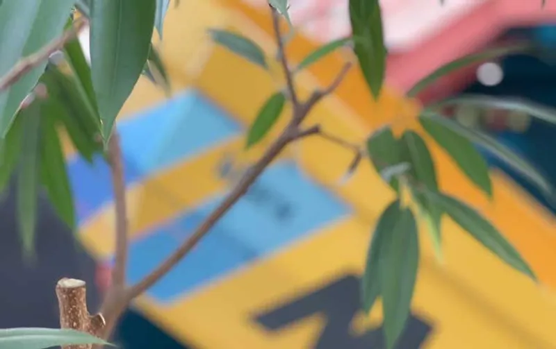 Nachhaltigkeit in der Baubranche: Herausforderungen und Lösungsansätze