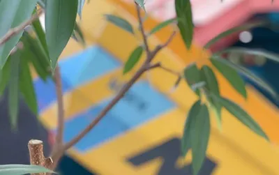 Nachhaltigkeit in der Baubranche: Herausforderungen und Lösungsansätze